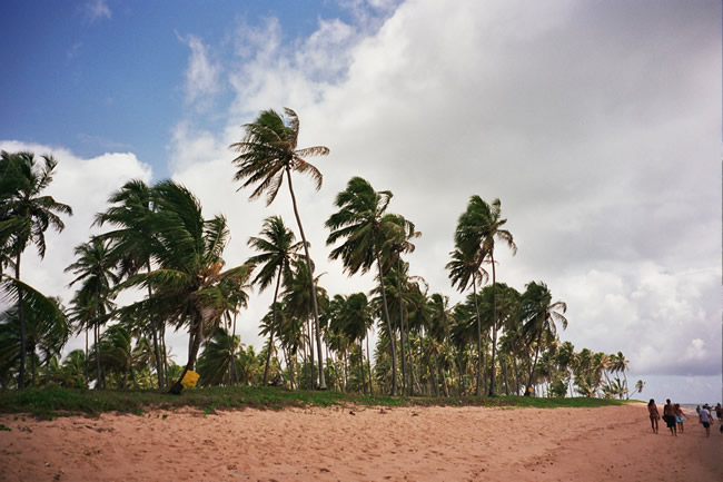 Praia na Bahia, ao norte de Salvador. Foto Aninha Gonçalves