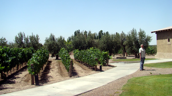 Vinicola em Mendoza