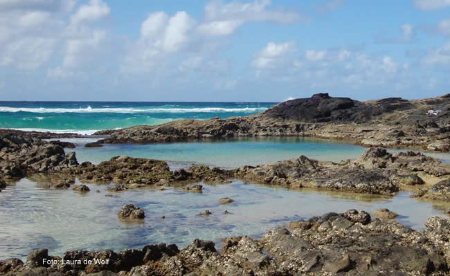 Champagne Pool, Fraser Island's