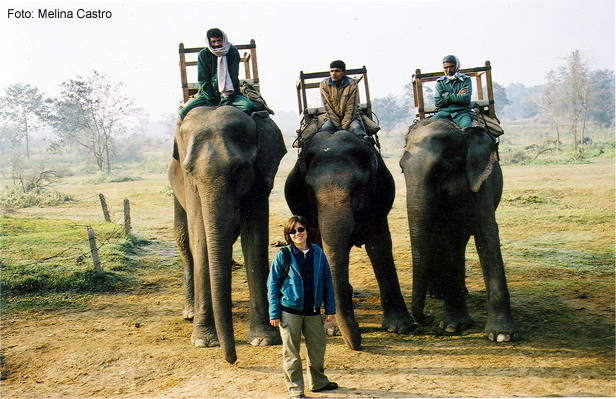 Chitwan National Park, safari de elefante