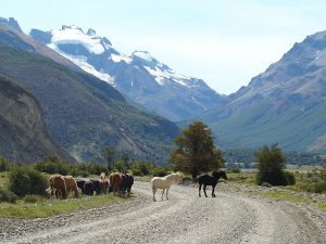 El Chaltén, Patagônia, Argentina