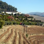 Douro, Portugal área vinicola