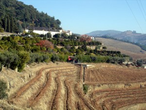 Douro, Portugal área vinicola
