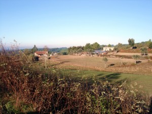Douro, área vinícola