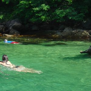 Ponta do Aripeba, Ilha Grande - Foto, Manual do Turista