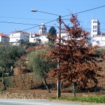 Região do Rio Douro