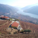 Rio Douro, Região do Porto