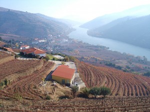 Rio Douro, Região do Porto