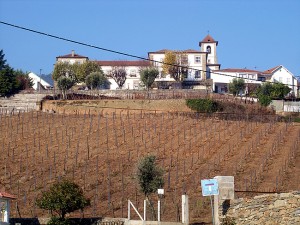 Vinícola no Douro, Portugal
