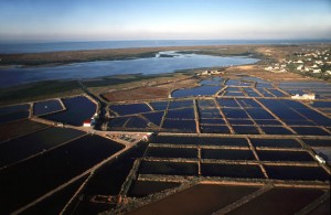 Salinas no Algarve, Portugal