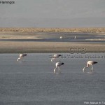 Final de tarde no Atacama