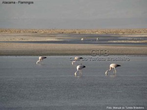 Final de tarde no Atacama