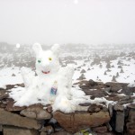 Altiplano entre Arequipa e o Vale do Colca