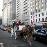 Passeio de carruagem no Central Park, foto Barão