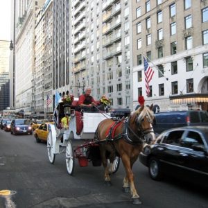Passeio de carruagem no Central Park, foto Barão