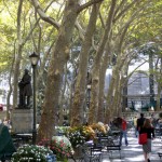 Bryant Park, NY York