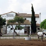 Camargue, Provence, França