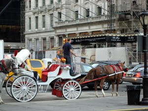 Carruagem no Central Park, New York, foto Barão