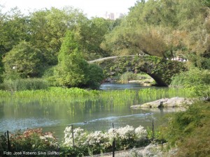 Central Park, Manhattan, foto Barão