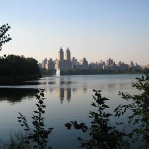 Central Park no verão, Nova York