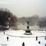 Central Park, Nova York, inverno