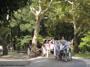 Central Park no verão, Manhattan, New York
