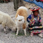 Criança com alpacas, Vale do Colca, Peru