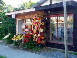 Flores de madeira, Pucón, Chile