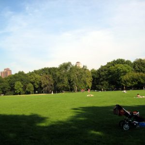 Great Lawn, Central Park, New York, foto Barão