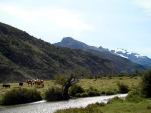 Paisagem em El Chaltén, Argentina