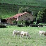 Paisagem rural na Borgonha, França