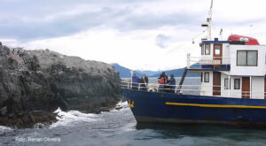 Passeio pelo Canal Beagle, Terra do Fogo, Argentina