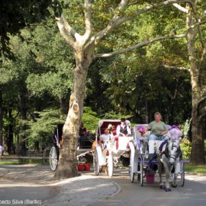 Passeios de carruagem no Central Park, Nova York, foto Barão