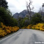 Patagônia, estrada