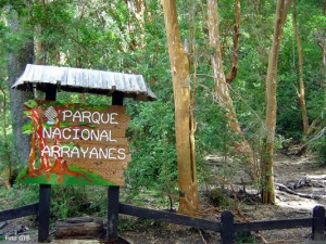 Região de Bariloche, Parque Arrayanes