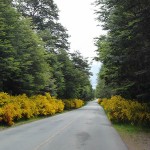 Ruta de los Siete Lagos, estrada