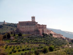 Vinhedos em Assis, Itália