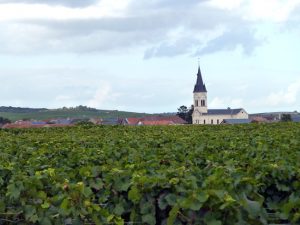 Vinhedos na Champagne, França