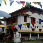 Presença tibetana, norte da Índia