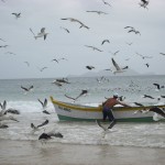 Arrastão na Praia dos Ingleses, Florianópolis