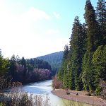 California - photo-Christofer Bule-ccby