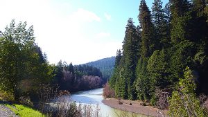 California - photo-Christofer Bule-ccby