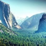 California-_Gloomy-as-a-bear-ccby