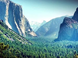 California-_Gloomy-as-a-bear-ccby