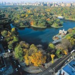 Central Park, Manhattan, NY