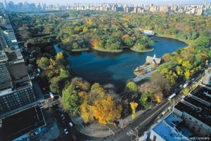 Central Park, Manhattan, NY