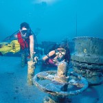 Diving Key Larg, Flórida