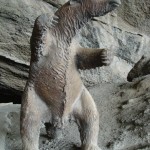 El milodón, a preguiça gigante pré-histórica