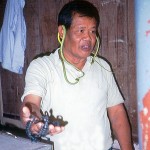 Entre víboras e escorpiões, mercado de Bangkok