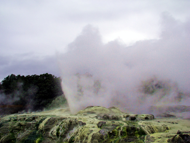 Gêiser em Rotorua, Ilha do Norte